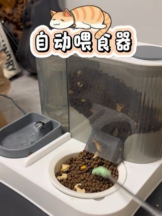 国庆出游前,别忘了给毛孩子安排这个自动喂食器!现在买还来得及赶在国庆前收货,价格太合适了!#宠物用品 #养猫新手 #养猫 #自动喂食器 #国庆假期被安排明白了