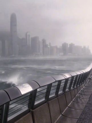 “暴雨般汹涌的想念 不间断敲打你窗沿”#极端天气#台风桦加沙