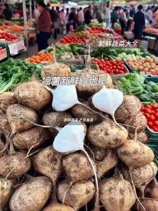 #地萝卜#凉薯#白地瓜#优质农产品 #新鲜采摘