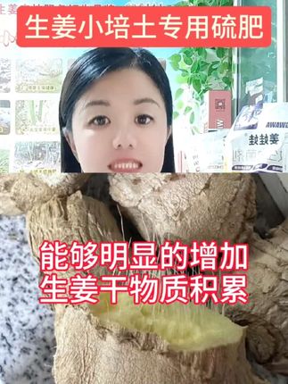 生姜专用硫肥 #生姜增产#大姜种植 #小培土 #硫尔佳 ,小培土必备硫肥,20元一袋,一亩地两到三袋