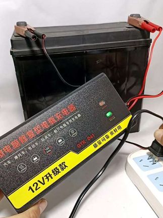 #脉冲修复充电器 #电瓶充电器