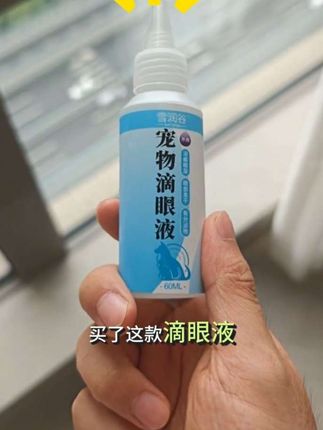 猫咪滴眼液 宠物眼部问题 狗狗泪痕清洁洗眼液 眼部清洁眼屎#宠物好物推荐 #新手养猫
