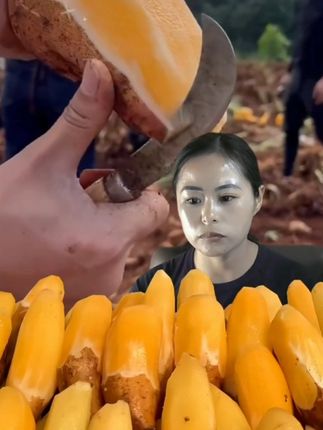 云南天山雪莲果现挖现发应季水果黄心脆甜多汁新鲜水果9斤#雪莲果