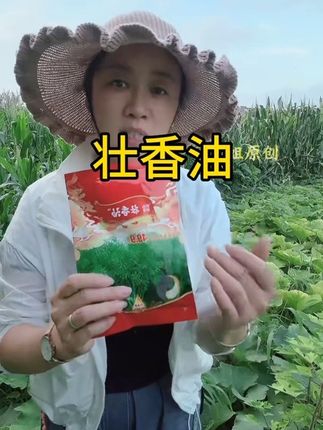 矮杆的甘蓝型杂交油菜品种, 经过国家审定,它高产稳产,更加抗病害抗倒伏抗性更强,所以呢种起来更加的省心,它的出油力特别的高,一碗菜籽半碗油#油菜 #油菜种子 #油菜种子#壮香油 #高产杂交油菜品种