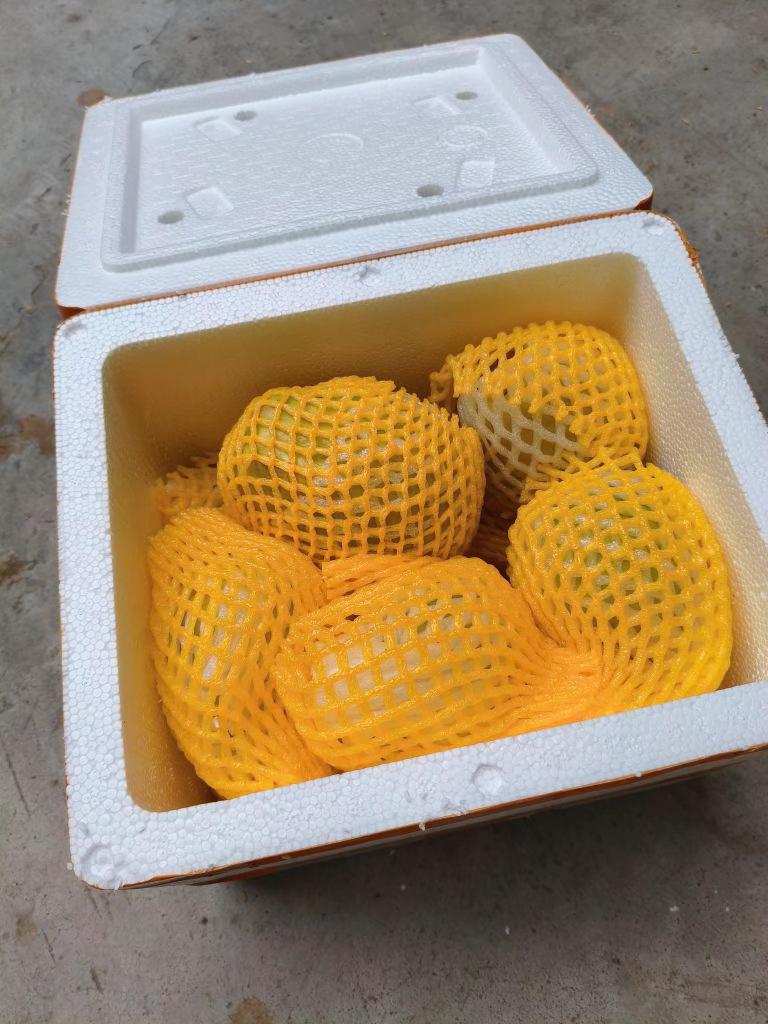 货收到了,质量很好,物流很快,#我在抖音买买买