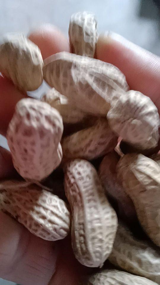 新鲜度:的确是今年的红皮花生,很香很好吃 包装品质:包装完美颗颗饱满#我在抖音买买买