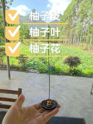 天然碌柚叶香线香植物熏香檀香松塔香可净化除臭去霉 #线香 #植物熏香 #松塔香 #柚叶香 #生活好物推荐