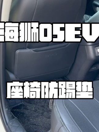 海狮05EV座椅防踢垫,很好的保护原车座椅,防脏耐磨,纳帕皮材质,柔软舒适,犹如原车自带!#海狮05 ev #海狮05EV #比亚迪海狮05ev #海狮05ev必买配件