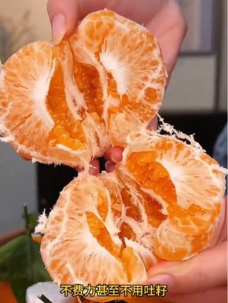 #丑橘耙耙柑 #新鲜应季水果 丑橘现摘现发超新鲜#日常分享 #好物推荐🔥