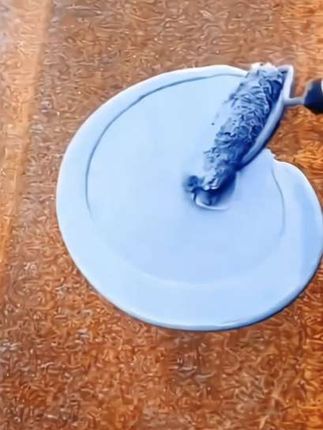 #铁锈转化剂免打磨防腐防锈金属漆彩钢瓦金属钢架翻新改色漆#效果好 #实用好物#方便实用 实性好。