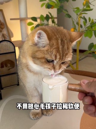 这可是伊利旗下,依宝的宠物奶大羊,宝子们快试试#萌宠好物 #铲屎官的乐趣 #萌宠出道计划