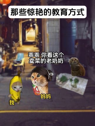 这些教育方式真的很惊艳#猫meme小剧场#中式教育#价值观#格局