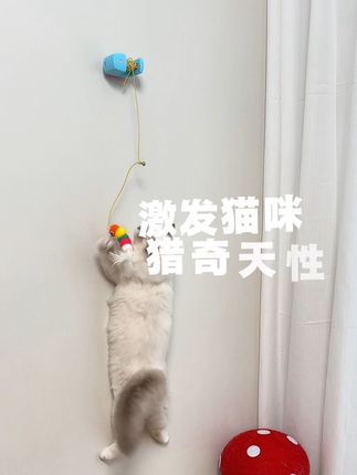 逗猫也可以解放双手啦~关键猫咪还特喜欢,根本停不下来#猫咪悠悠球 #RUAYIRUA #萌宠日常记录