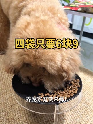 养狗人快来抢这个试吃装,四袋才几块钱。#宠物吃货 #萌宠好物 #狗粮 #粒粒爱狗粮 #新手养狗