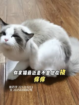 #养猫新手 #养宠进阶指南 #宠物用品 #科学养宠攻略 #宠物驱虫