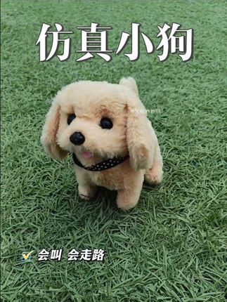 每天都要出门遛狗,真的好可爱,会走会叫还不掉毛😃,充电一次用好久,妥妥的哄娃神器#母婴好物 #宝宝玩具#哄娃神器#也太可爱了吧