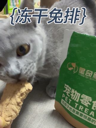 你家猫怎么这么胖啊?那可不咋的,每天除了吃猫粮,我还会给他加餐,就这个冻干小兔排#吃货猫 #喂猫 #萌宠好物 #星奇膳 #冻干兔排