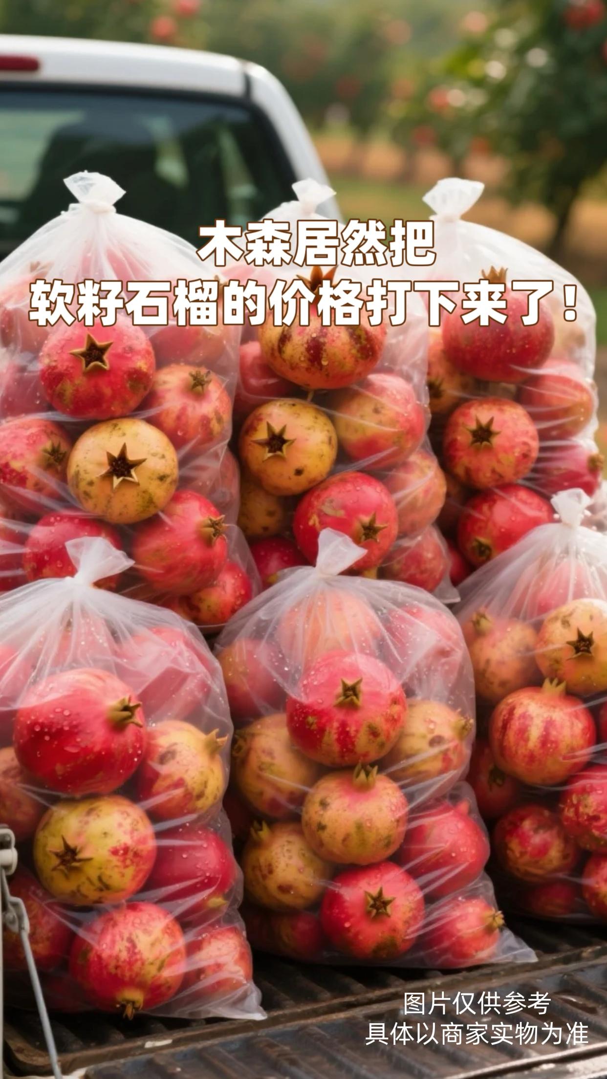 一口爆汁!这软籽石榴也太爽了吧 谁懂啊!终于挖到不用吐籽的软籽石榴,吃起来超解压! 果皮薄得好剥,籽颗颗像红宝石,咬下去满嘴甜津津的汁水,软籽嚼着不硌牙,追剧时不知不觉就能炫完一个。 秋天吃它补水又润燥,不爱吐籽的宝子闭眼冲! #软籽石榴 #秋日水果推荐 #爆汁 #新鲜采摘 #石榴