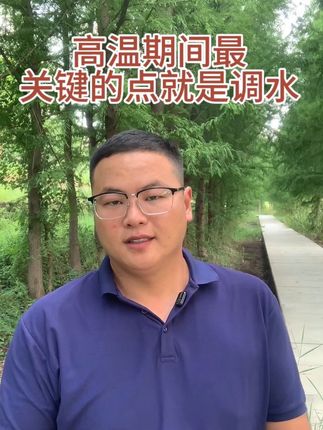 27 高温期间池塘管理的点就是调水,快用上菌藻状元! #水产养殖 #鱼虾蟹养殖 #水产养殖技术 #调水肥水 #三农
