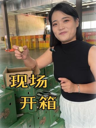 新鲜核桃现场开箱,果肉饱满,品质卓越,放心入#新鲜核桃