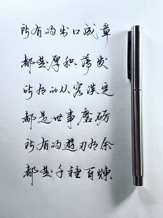 没人告诉我十多块的钢笔这么好写啊#手写 #练字 #感悟人生感悟生活 #硬笔行书 #写字是一种生活