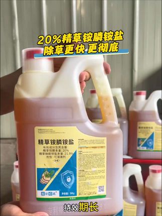 20%高含量精草铵膦铵盐10斤装的能打4000斤水,果园荒地田埂茶园除草不伤土壤不伤作物根系打后7天就可以种植厂家直发。#精草铵膦铵盐 #除草剂 #果园除草 #茶园除草 #荒地除草