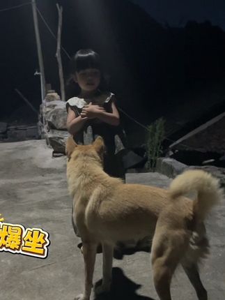 晚上妹妹去找阿爆玩,在路灯下相互嬉戏打闹,天黑也不想回家#中华田园犬 #女儿#南宫问雅 #阿爆#狗狗