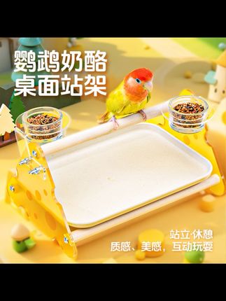 宠尚天鹦鹉奶酪桌面站架加厚亚克力站棍玻璃食盆水壶牡丹和尚互动#鹦鹉站架 #鹦鹉站架推荐 #站架 #鹦鹉🦜1