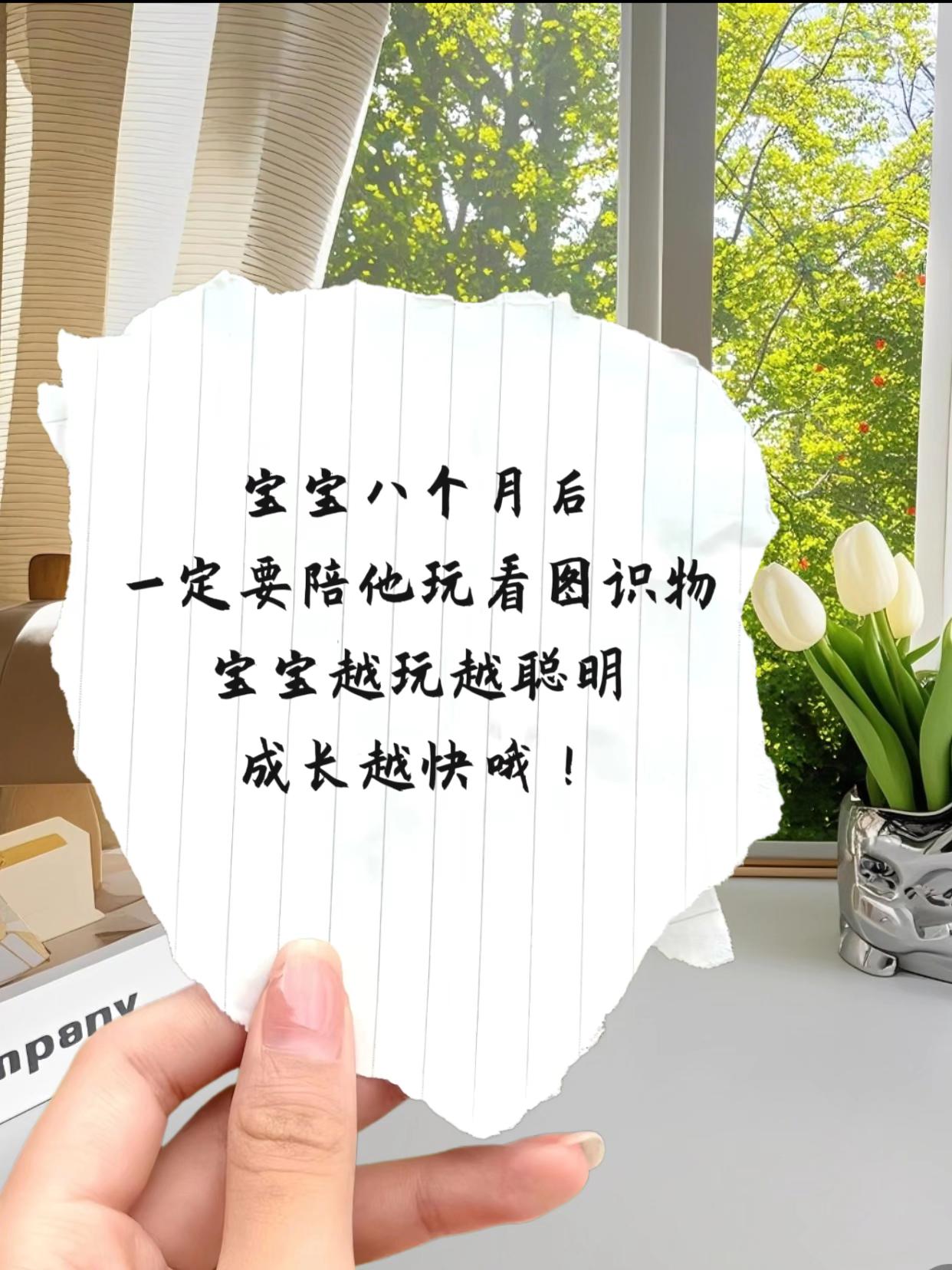 #童书推荐 #早教启蒙 #专注力培养 #抖音推广 #玩具
