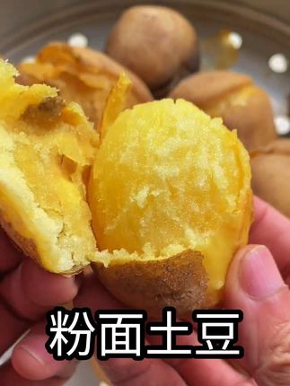 #黄皮黄心土豆 #优质农产品 #新农人计划2025 #乡村振兴dou行动 #助力乡村振兴