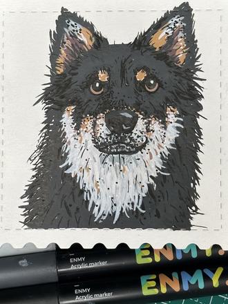 中华田园犬四眼狗怎么画#画画教程 #跟着抖音学画画 #丙烯马克笔#狗是人类最忠诚的朋友 #画画