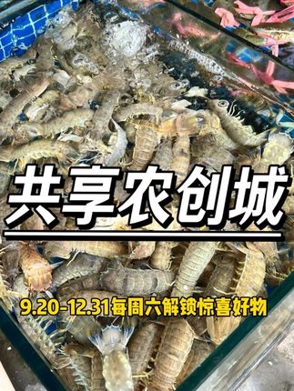 农创城会员日从9月到12月,周周焕新,爆品轮番上线!每周六解锁惊喜好物,心怡好货现场等您来探!#贵阳共享农创城会员日