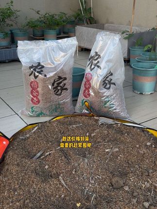现在很便宜,指不定哪天就涨价了,需要的抓紧!#稻壳 #发酵稻壳 #发酵稻壳改良土壤 #腐熟稻壳 #土壤改良
