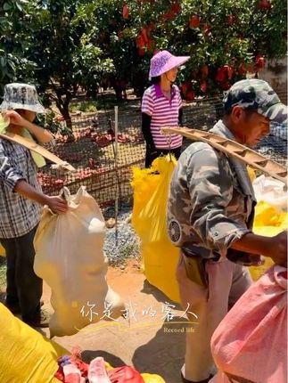 支持一下福建平和柚子,好吃又新鲜。一点都不柴。