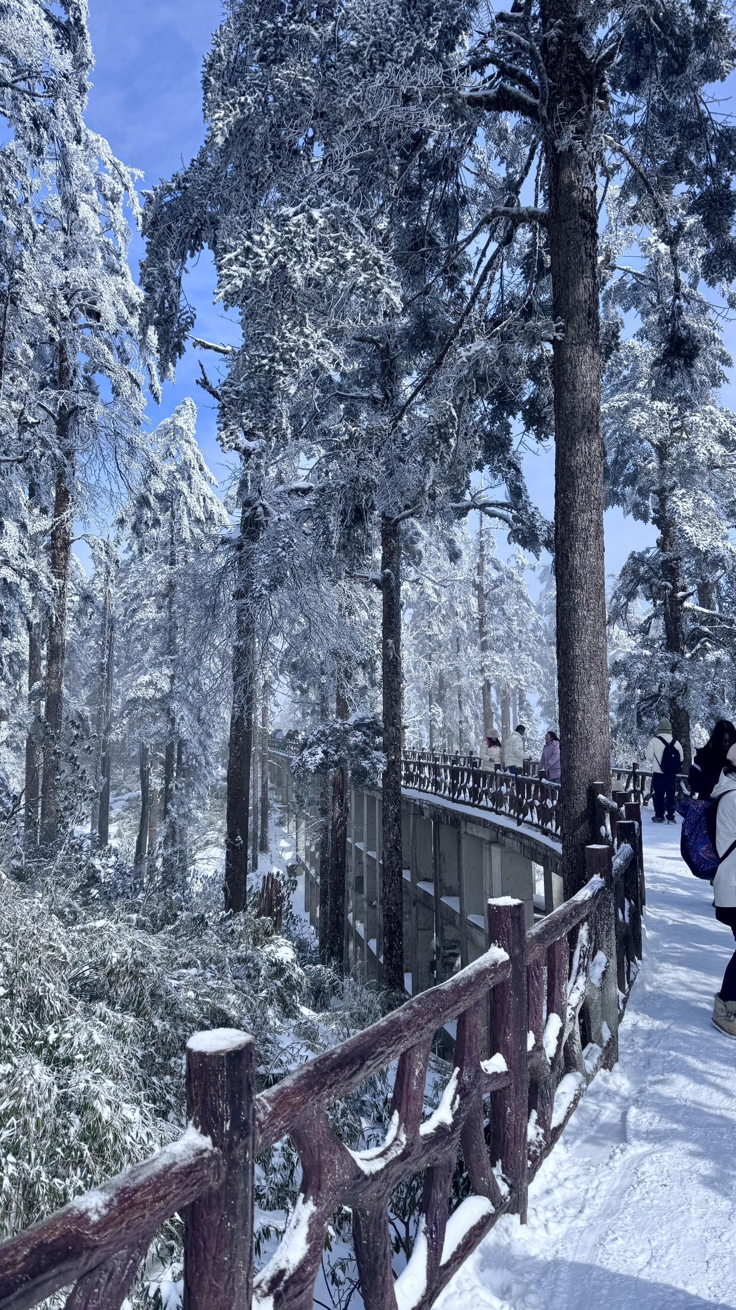 今年冬天再相约一起去瓦屋山看雪好不好。#瓦屋山 #雪 #冬天 #高清壁纸 #超清画质