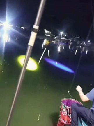 蝎子灯 手提强光照蝎子灯,2025新款手电筒#实用好物 #生活好帮手 #照明#蝎子灯