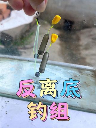 我才发现有这么方便的钓大鱼神器! #钓鱼 #钓鱼技巧 #反离底钓法 #钓鲤鱼 #钓草鱼