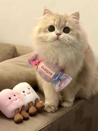 大语文时代,语文考试知识面非常灵活,一定要帮孩子多积累这些课外常识 #家庭教育    #百科知识     #文学常识   #育儿