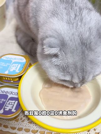 主食餐盒 慕斯质地 天热来一盒补水 #主食餐盒 #主食罐 #餐盒 #养猫新手 #猫罐头