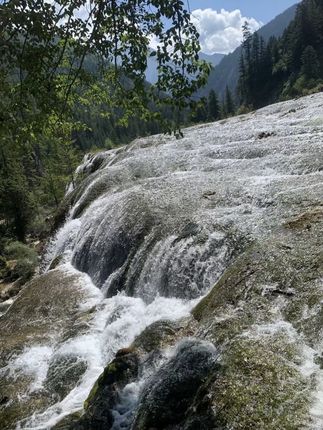 胶原肽