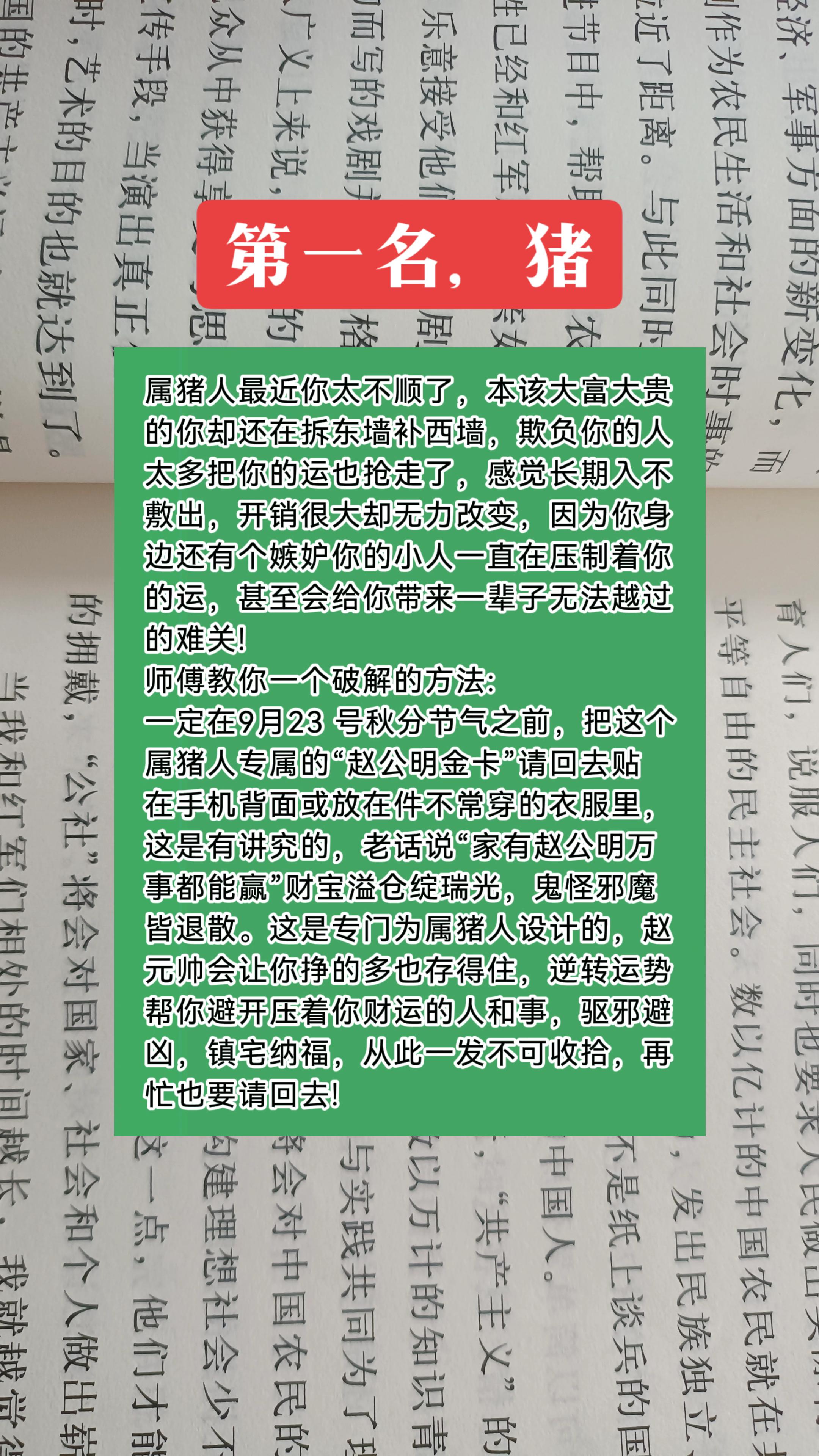 #猪 #属猪 #生肖猪