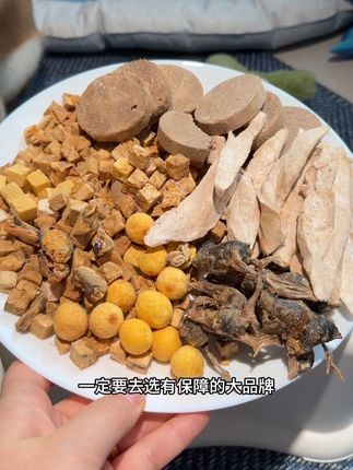 这个网易严选十拼的海陆空冻干桶,真的很丰富#网易严选冻干桶 #狗狗冻干