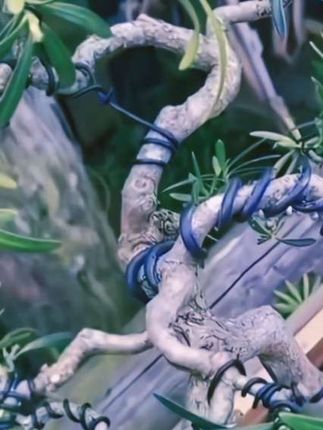盆景专用造型黑色软铝丝铝线蟠扎线盆景制作定型扎丝园艺铝条 #创作灵感 #五金用品#园艺铝丝#盆景制作#盆景专用造型软铝丝 @DOU+小助手 @巨量千川