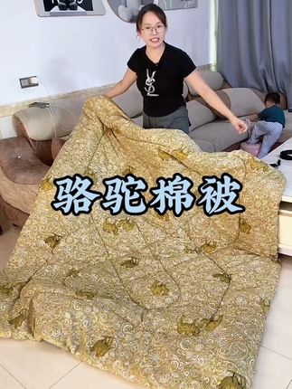 家里需要棉被的这个价格闭眼冲啊 没收到货我也是不敢相信 这个价格既然能买到这么好的棉被#源头实力厂家 #好货推荐
