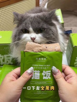 小猫猫也有猫饭吃啦 鲜肉搭配多种果蔬 营养又美味 猫猫很爱吃#萌宠好物 #猫饭#猫猫湿粮