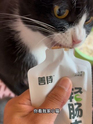 善待又搞事情啦,这波羊毛千万别错过#善待 #善待主食餐包 #猫主食 #猫罐头