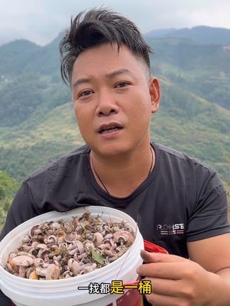 找菌子人的心声#我的农村生活 #记录真实生活 #枞树菌 #捡菌子的乐趣