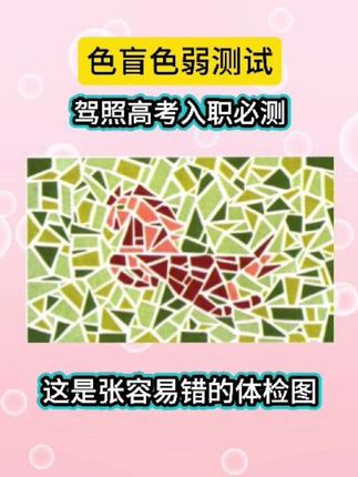 色弱了驾照换证体检咋办!来看色盲色弱测试图#色弱#驾照#体检#眼力测试#近视色弱眼镜
