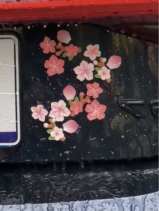 车载3D立体桃花车贴车尾中控台电动车落地镜花朵装饰品树脂樱花#美不美你说了算 #花开了 #立体桃花车贴 #3d车贴 @DOU+小助手@巨量千川