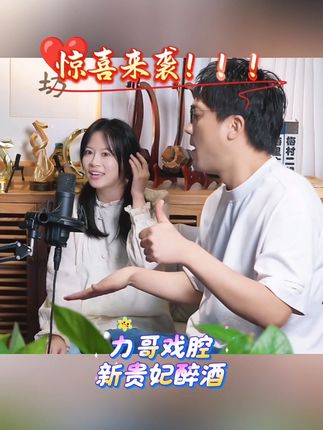 惊喜来啦!!力哥又唱啦!!#二饼胡拉 #力哥拉二胡 #新贵妃醉酒